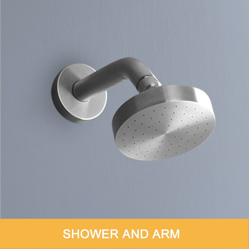 Top Shower and Arm