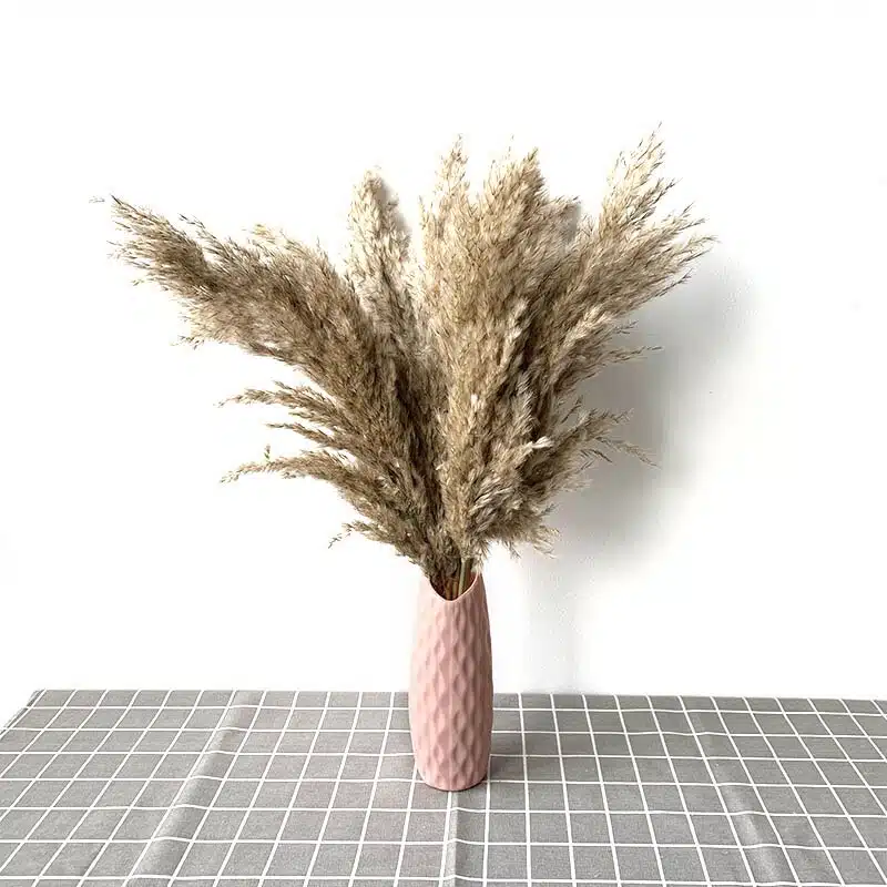 10pcs raw pink vase