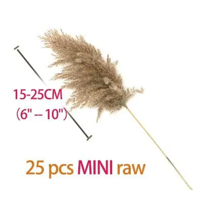 25pcs mini-raw color