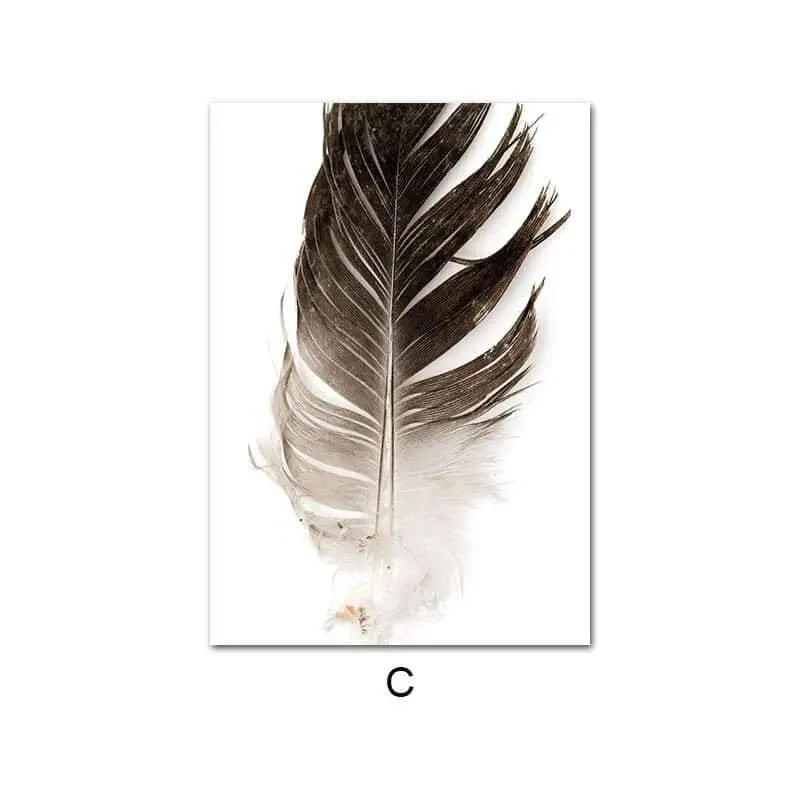 Picture C